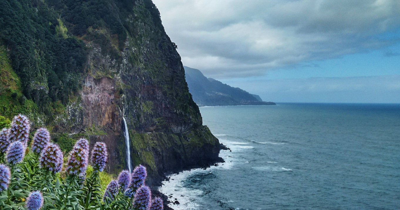 Madeira ocean view